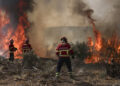 Experts Warn of High Wildfire Risk in Sri Lanka Amid Global El Niño; Govt Sets Up Committee