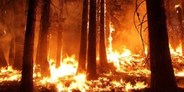Critical El Niño Warning Issued for Sri Lanka as Global Climate Crisis Escalates