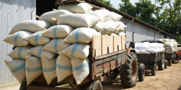 Two Sri Lankan Drug Traffickers Hiding in India Arrested in Rameswaram