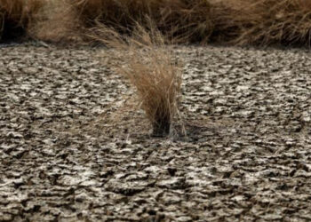 El Niño 2026.08.27 (1)