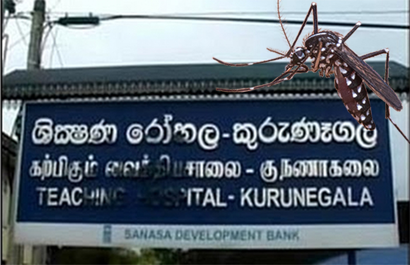 කුරුණෑගල රෝහලට ආධාර ඉල්ලයි