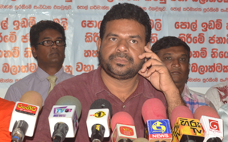 ගංජා වවන්න කලින් ආණ්ඩුව පොල් කර්මාන්තය රැක ගැනීමට කටයුතු කළ යුතුයි