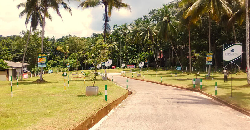 ජනපති නියෝගයටත් පිටින් පොල් ඉඩම් කැඩීම දිගටම