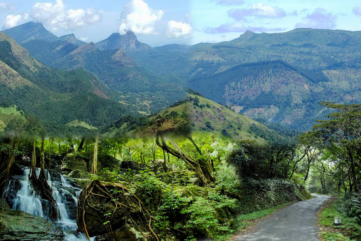සංවර්ධනයේ මුවාවෙන් නකල්ස් විකිණීම වහාම නවත්වන්න