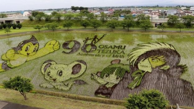 ජපානයේ කුඹුරු චිත්‍ර (ඡායා)