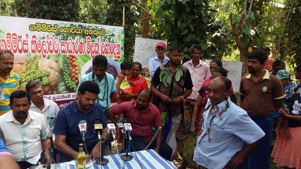ස්ථාවර මිලක් ඉල්ලා ගම්මිරිස් ගොවියෝ පාරට බැසීමට සැරසේ