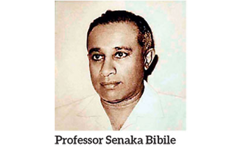 41 වන මහාචාර්ය සේනක බිබිලෙ ගුණ සමරුව 29