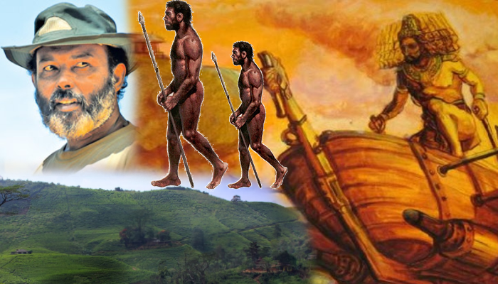 දෙපාර්තමේන්තුවේ බාධාකිරීම් හේතුවෙන් මහාචාර්ය රාජ් සෝමදේවගේ පුරාවිද්යා කැණිම් නිමාවන ලකුණු..!