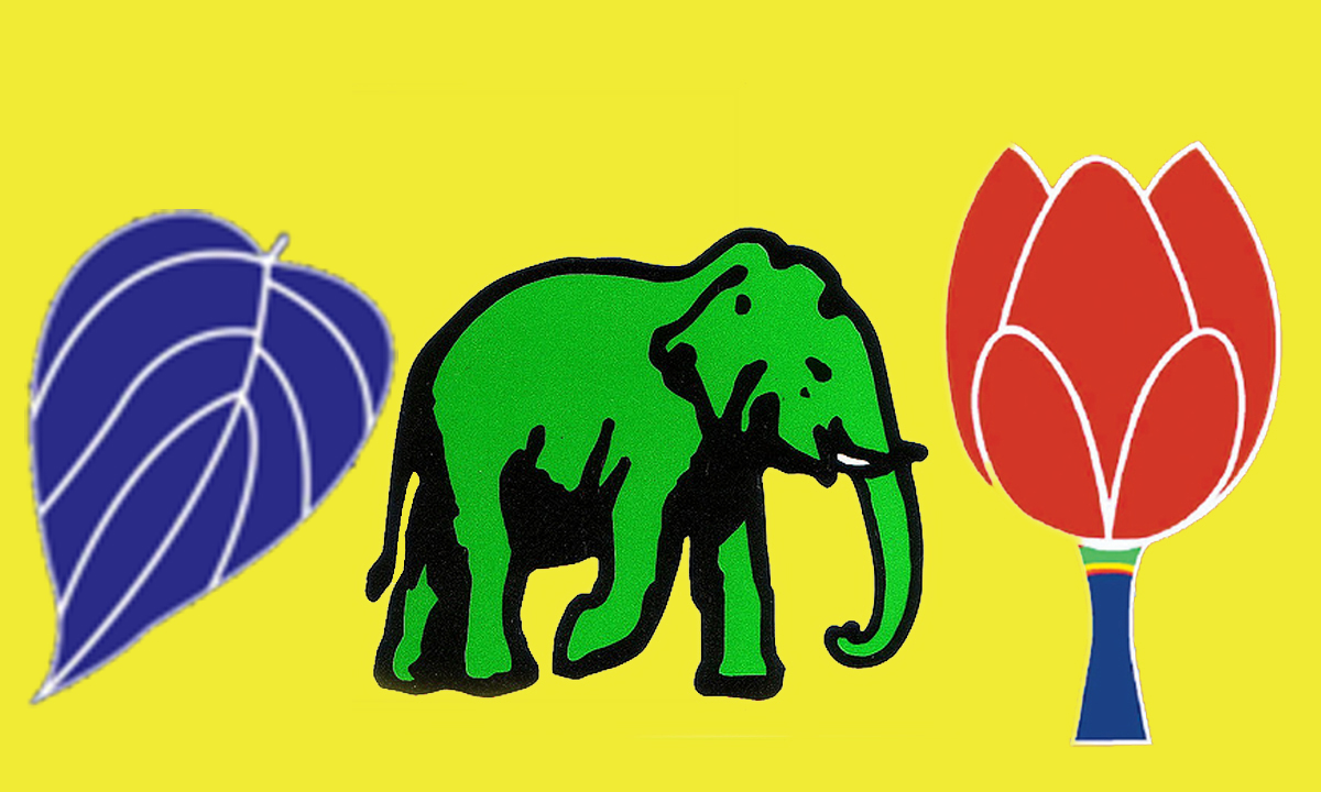 අලි, බුලත් සහායෙන් තංගල්ලේදී පොහොට්ටුව අයැවැය දිනයි