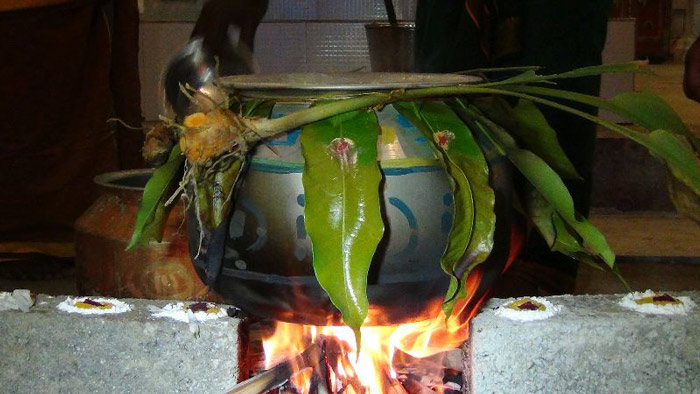 හින්දු බැතිමතුන් තෛයිපොංගල් සමරයි