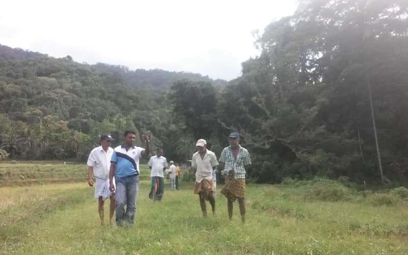 අනවසර මිනිරන් පතල් සෙවීමට ගිය රාජ්‍ය නිලධාරීන් හා පරිසර සංවිධානවලට මැර ප්‍රහාරයක්