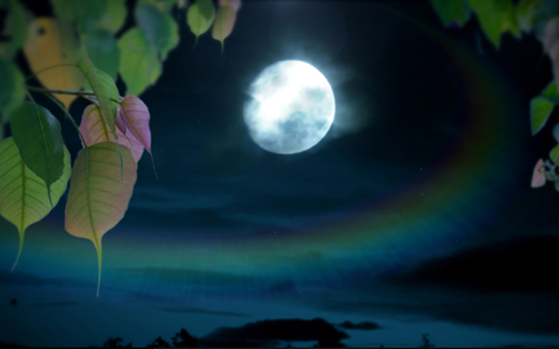 වප් පුර පසළොස්වක පොහොය දිනය අදයි