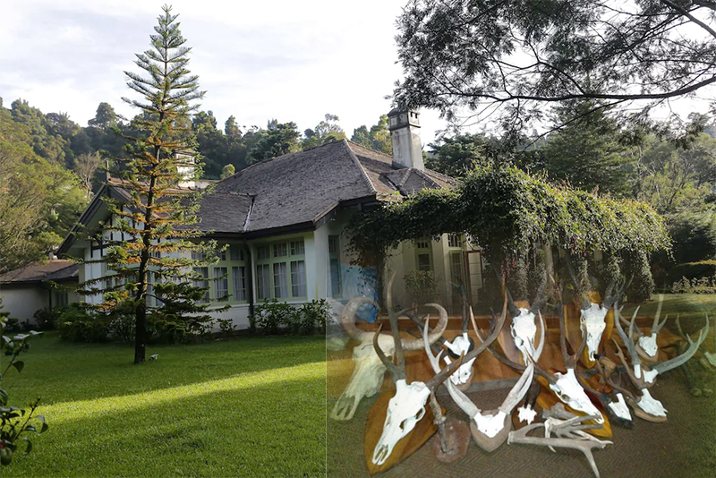 අනිලානා නිවාඩු නිකේතනයේ තිබී ගෝන අං තට්ටු, පිඹුරු හම් ඇතුළු භාණ්ඩ රැසක් සමග පුද්ගලයෙකු අත්අඩංගුවට