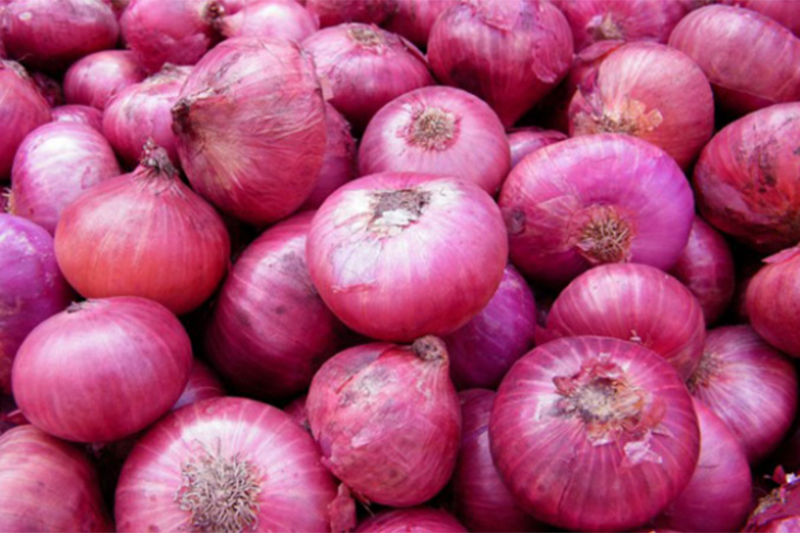 ලොකු ලූනු මිල ඉහළට