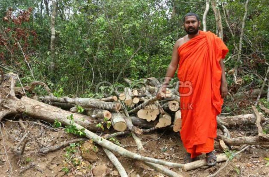 ගල්විල වන උද්‍යානයත් වනසති… වසර සිය ගණනක් පැරණි ගස් කපාදමති… තැන තැන වැලි හාරති…