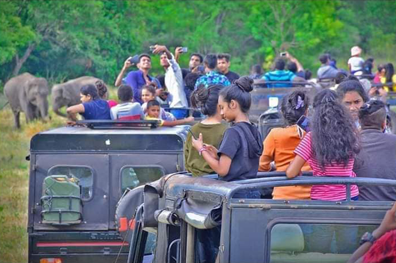 වනෝද්‍යාන හා සත්ව උද්‍යාන සඳහා ඇතුළුවීම සීමා කරයි