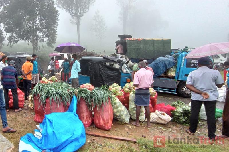 බණ්ඩාරවෙල එළවලු ගොවියෝ අනාථයි