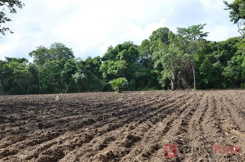 ඉඩම් ඇතුළු පනත් 04ක් හදිසි සංශෝධනයට…