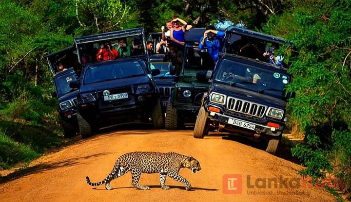 අධික වැසි නිසා යාල ජාතික වනෝද්‍යානය තාවකාලිකව වසා දැමේ