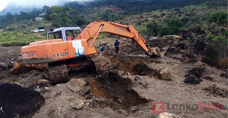 දේශපාලන හයියෙන් සිංහරාජය වනසා හෝටල් ඉදිකරන්නේ කවුද?