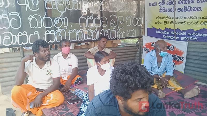 වන අලි රක්ෂිතයෙන් අක්කර 3600ක් දේශපාලන හිතවතුන් කොල්ලකයි