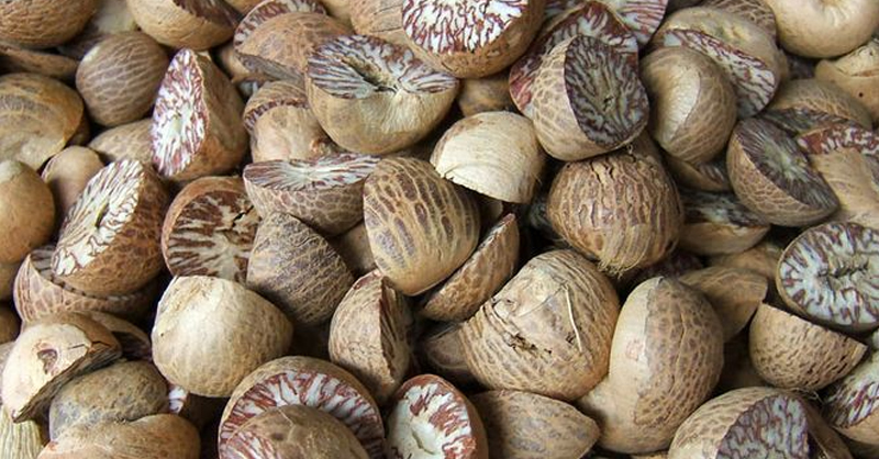 කරුංකා ජාවාරමට යළි යෝජනාවක්