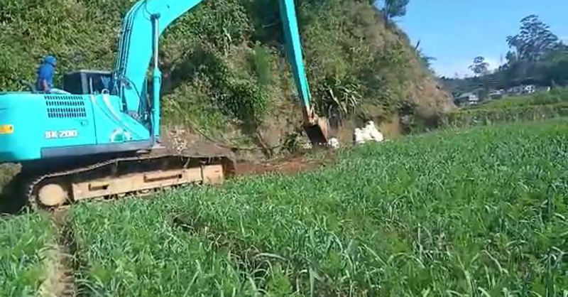 නගරය ලස්සන කරන්න අක්කර 10ක එළවළු වගාවක් විනාශ කරයි