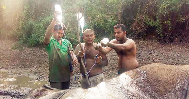 වනජිවී නිලධාරීනුත් වැඩ වර්ජනයකට සැරසෙති