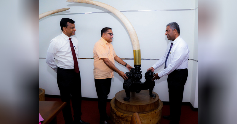 ඇත් දළ ජෝඩුවක් මෛත්රී ළඟටත් ගිහින්…