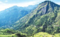 Nuwaraeliya 2024.11.11 (1)
