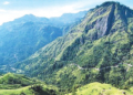 විඩා නිවාගන්න සුවදායී පවන් පොදක දැවටෙන්න එන්න…
