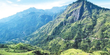 විඩා නිවාගන්න සුවදායී පවන් පොදක දැවටෙන්න එන්න…