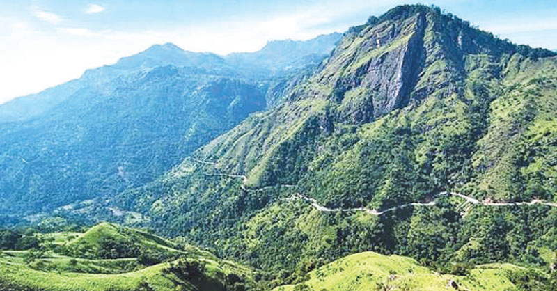 හදවත රකින්න පුළුල් මෙහෙයුමක්