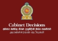 දැවැන්ත පිම්මක්