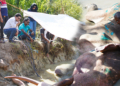 රෝගාතූරව සිටි භාතියගේ ප්‍රතිකාර කඩිනම් කිරීමට පරිසර ඇමතිගෙන් උපදෙස්