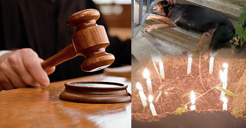 බ්ලැකී වෙනුවෙන් ලැබුණු අධිකරණ නියෝගය…