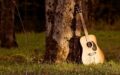 music-3875120_1280