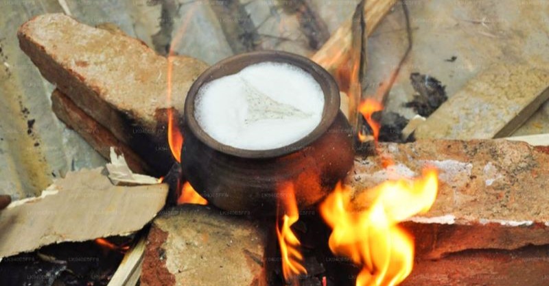 පෙරළිකාරී නව වසරකට කඳවුරු බඳී