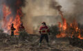 Forest fire 2026.07.27 (1)