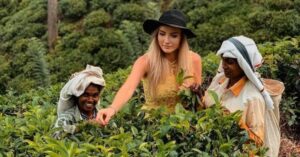tea