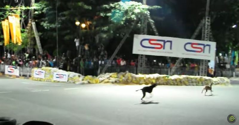 නාමල් රාජපක්ෂ ඒ ගේම සුපිරියටම ගැහුවා