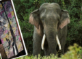 කාවන්තිස්සට වෙඩි තැබූ දඩයක්කරුද?  ගිනිඅවි සමග පුද්ගලයෙක් අත්අඩංගුවට… වන අලි ඝාතන පිටුපස සංවිධානාත්මක ජාලයක්දැයි පරීක්ෂණ!