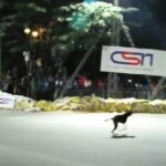 Kandy-Night-Race-2014